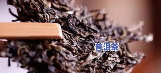 郎河8539普洱茶：7599与9599熟茶全面解析