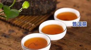 老班章茶叶的简介，探秘老班章：著名普洱茶品种的详细介绍