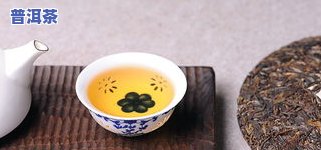 普洱茶古树茶一斤价格表及图片全览