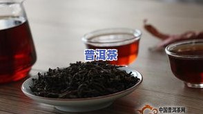 普洱熟茶加金银花，健康饮品新选择：普洱熟茶与金银花的完美搭配