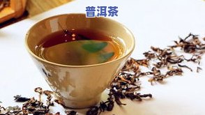 普洱熟茶加金银花，健康饮品新选择：普洱熟茶与金银花的完美搭配