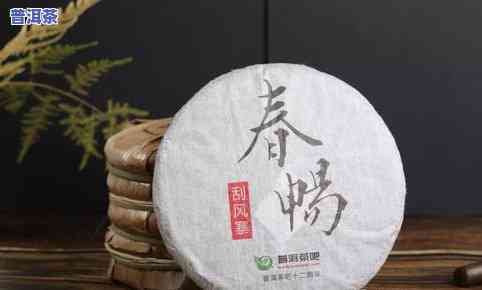 普洱茶的条索特征解析：形状、大小、色泽等全面了解