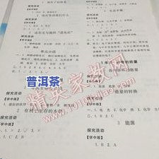 深入探究普洱茶传统工艺：论文写作指南与范例