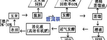 普洱茶传统工艺流程教程：详细步骤与图片解析