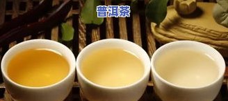 普洱茶正殿-正宗普洱茶