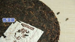 滇南古韵普洱茶产地：探寻云南茶叶之源