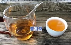 冰岛普洱茶最有名的品种-冰岛普洱茶最有名的品种是什么