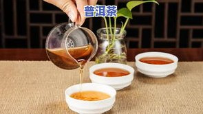 发展普洱茶的意义，探究发展普洱茶的重要意义