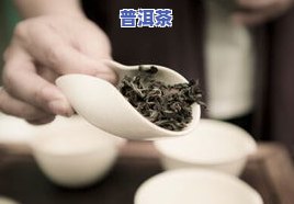 煮过的普洱茶过夜能喝-煮过的普洱茶过夜能喝吗