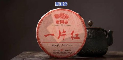 普洱茶导师-普洱茶大师