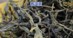 普洱茶粗叶好还是细叶好，普洱茶：粗叶和细叶哪种更好？