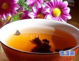 熟茶不适合哪些人喝-熟茶不适合哪些人喝呢