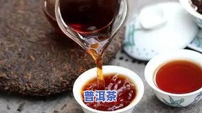 理性普洱茶-普洱理气