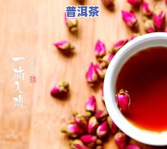 普洱茶可以加菊花一起泡吗，普洱茶与菊花的完美搭配：一起泡出来的健康美味！