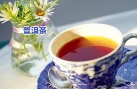 普洱茶的介绍及功效：详解其作用与好处