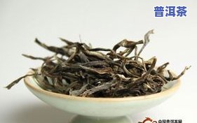 普洱茶一般多少钱一两，揭秘普洱茶价格：一两究竟要多少钱？