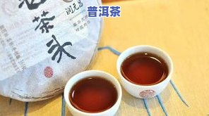 春亿普洱茶：熟茶与春茶价格全览