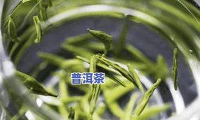 普洱茶春意-普洱茶 春茶