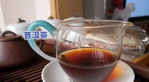 大益普洱茶的特点，探索大益普洱茶的独特魅力：特点解析与品鉴指南