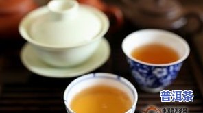 大益普洱茶的特点，探索大益普洱茶的独特魅力：特点解析与品鉴指南