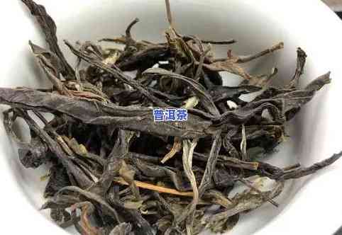 昔归古树茶的特点口感，探秘昔归古树茶：独特的口感特点解析