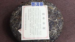 04年六大茶山班章-04年六大茶山班章有机茶