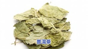 桑叶加普洱茶泡水喝：功效与适用人群解析