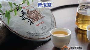 兴海茶厂孔雀之乡：老班章、班章圆茶