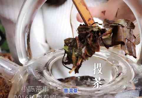 普洱茶煮菩提根：好处、方法及是不是适合饮用全解析