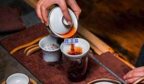 人喝茶喝的是什么茶，探秘人的茶文化：他们常喝的到底是什么茶？