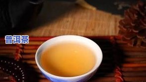 普洱茶有哪些知名，探索普洱茶的世界：知名的介绍与推荐