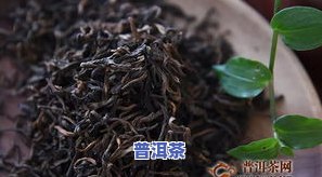 班章熟茶的口感特点简单描述：价格与品鉴