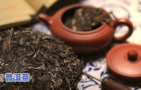 糯香普洱茶十大排名表，探究普洱茶的美味：糯香普洱茶十大排名表