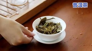 赛冰岛是什么茶？揭开茶叶的神秘面纱