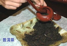 泡普洱茶全过程教程图片高清，【高清教程】泡普洱茶全过程，从选茶、洗茶到冲泡，一步到位！