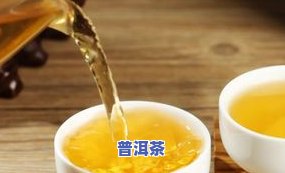 普洱茶买什么样的好一点-普洱茶买什么样的好一点呢