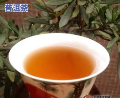 普洱茶买什么样的好一点-普洱茶买什么样的好一点呢