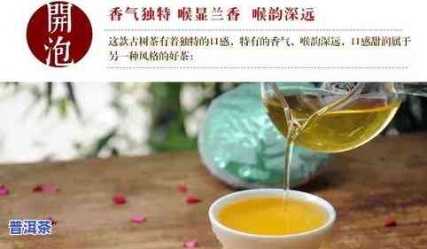 临沧昔归茶价格熟茶-临沧昔归茶多少钱一斤