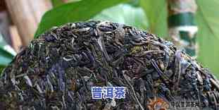 临沧昔归茶价格熟茶-临沧昔归茶多少钱一斤