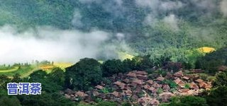 普洱茶著名山头-普洱茶著名山头分布图