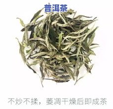 金骏眉与普洱，究竟谁更胜一筹？探讨两款茶叶的口感差异