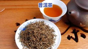 金骏眉喝普洱茶的区别-金骏眉和普洱