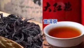 73青饼普洱茶傅物管：珍藏版普洱茶88青饼与8582青饼的对比评测