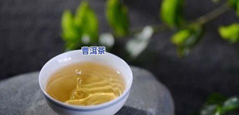 米汤味普洱茶，「米汤味普洱茶」：传统与创新的完美结合