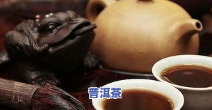 正元普洱茶，探索云南的瑰宝：正元普洱茶的魅力与历史