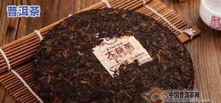 正味普洱茶：真味与正普堂的选择