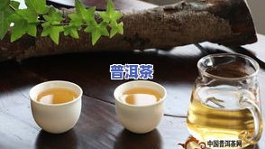 普洱茶绿孔雀好喝吗图片-普洱茶绿孔雀好喝吗图片大全