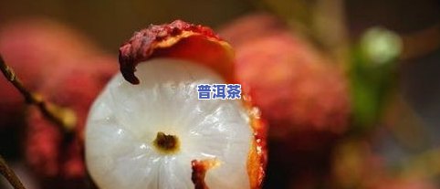 纸箱存放普洱茶要封口嘛为什么，纸箱存放普洱茶需不需要封口？原因解析