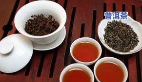 昔归庄园普洱茶价格：正宗昔归生茶与紧压茶全解析