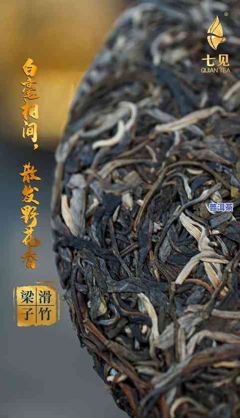 探秘滑竹梁子古树普洱茶的独特魅力与熟茶特性